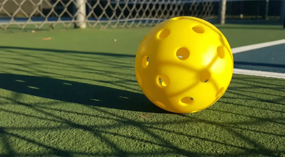 Drop Shot Pickleball Courts